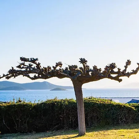 Evia Escape Villa
